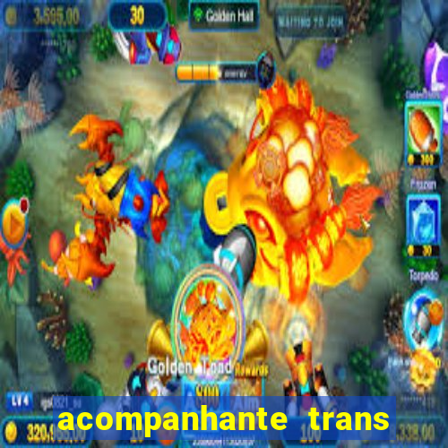 acompanhante trans baixada fluminense